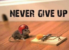 never give up1