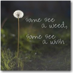 a wish